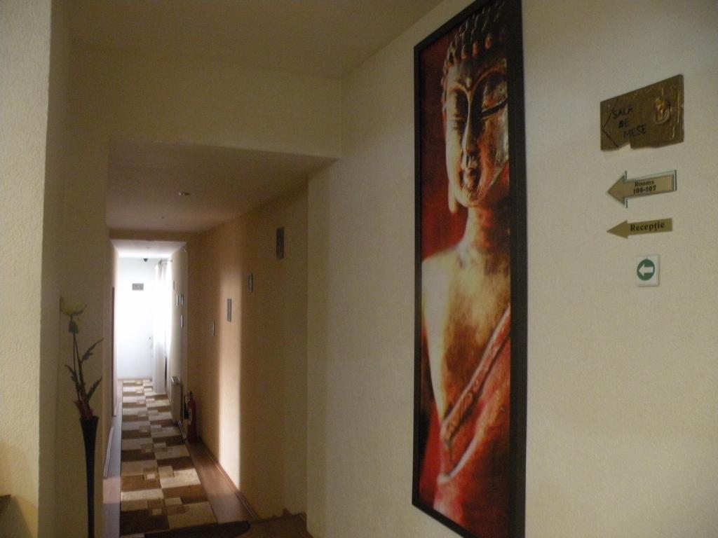 Pension Cleopatra Târgu-Mureş Екстериор снимка